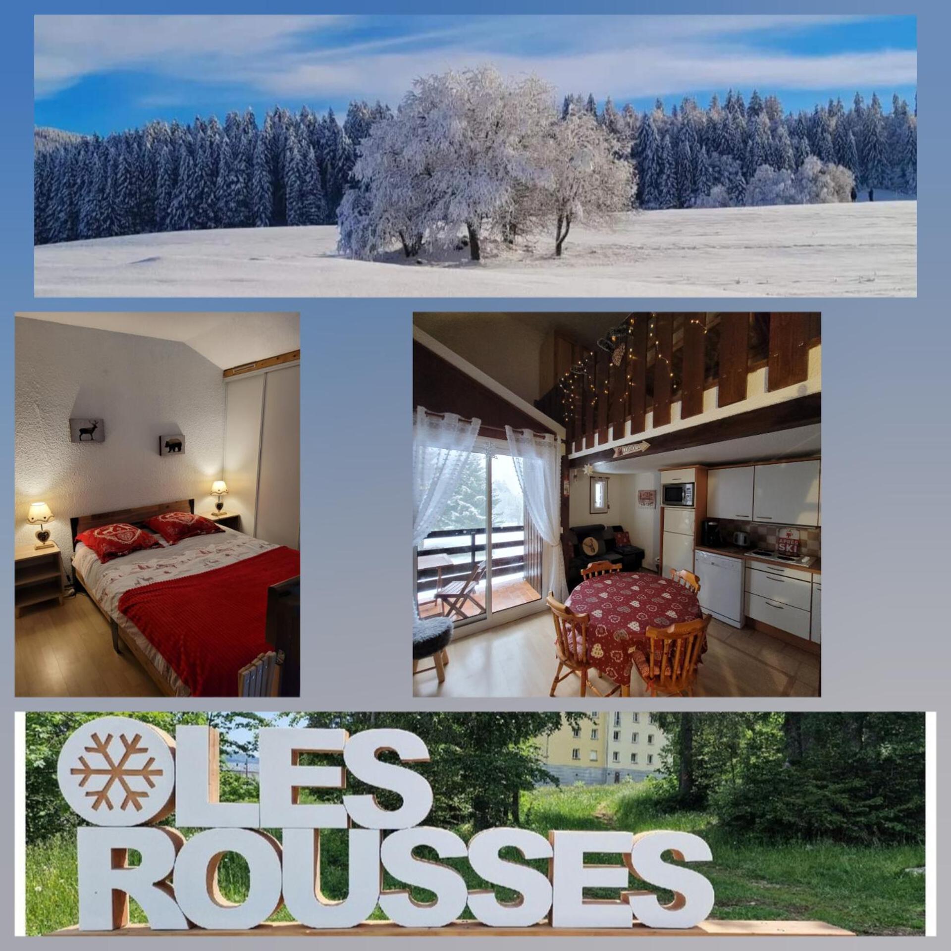 Le Duplex, Superbe Cocon Au Coeur Des Rousses, Tout Confort 5 Pers, Draps Inclus Ле Рус Екстериор снимка